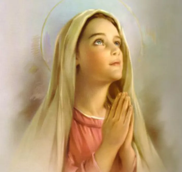 A Concepção Imaculada de Maria